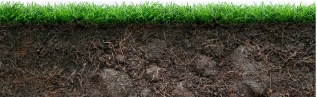 Layer of ground covered with grass