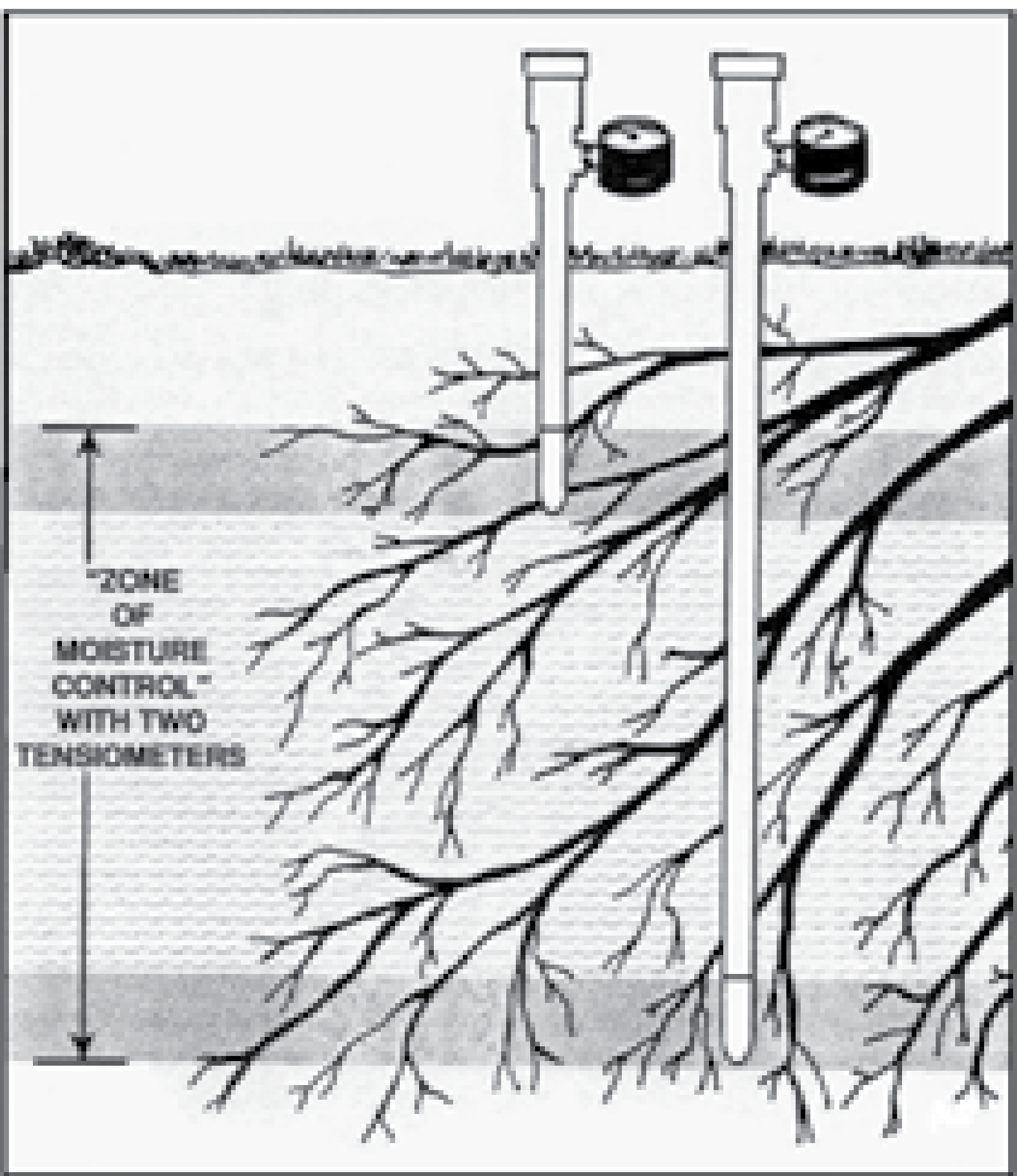 Tensiometer Station