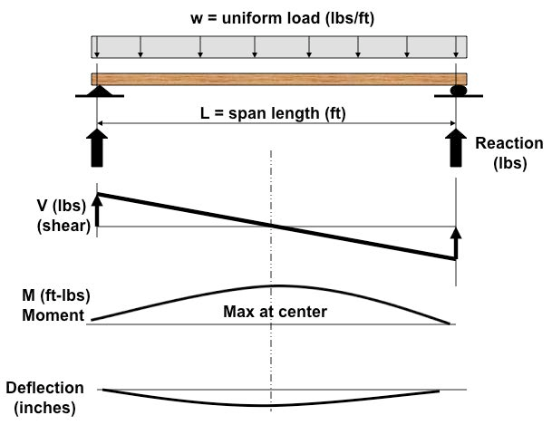 Reaction, Shear, Moment and Deflection.