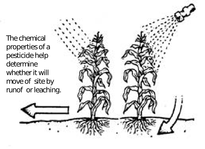 Wisconsin Cooperative Extension