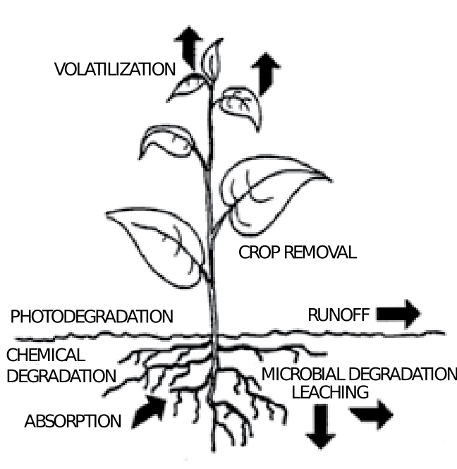 Nebraska Cooperative Extension