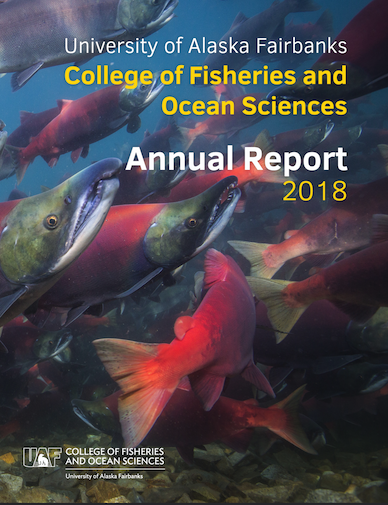 Photo of sockey salmon swimming underwater