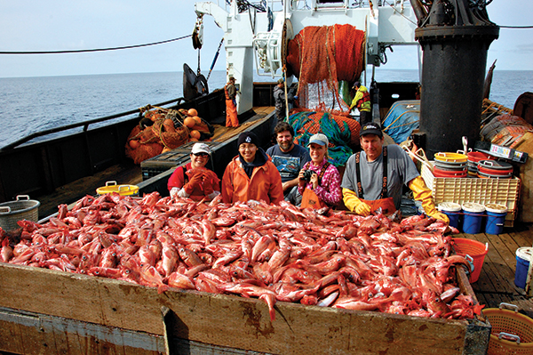 A fishing boat loaded with fish. Photo by Pam Goddard