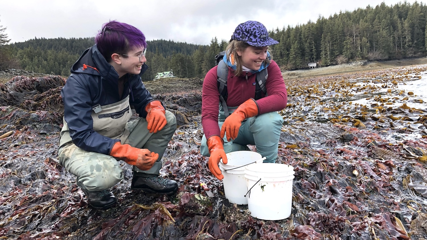 Two student researchers out in the field