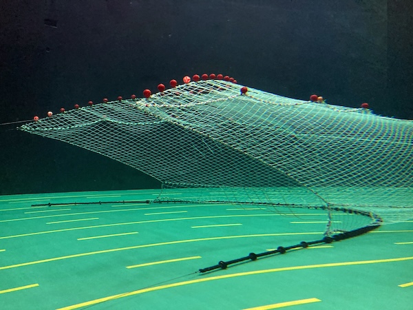 A modified trawl net with a "killer whale fence" made of modified webbing and chain in the net entrance undergoes a simulated haulback in a flume tank.