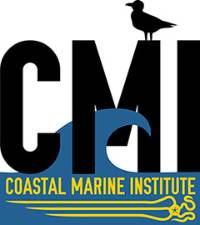 CMI logo