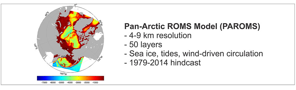 Pan-Arctic ROMS Model image