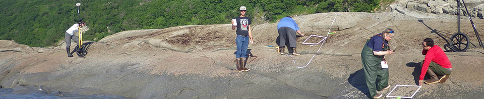 Researchers on the shore line digging