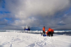 Researchers working on ice during Sikuliaq's Juranek cruise. Photo by Kim Kenny.