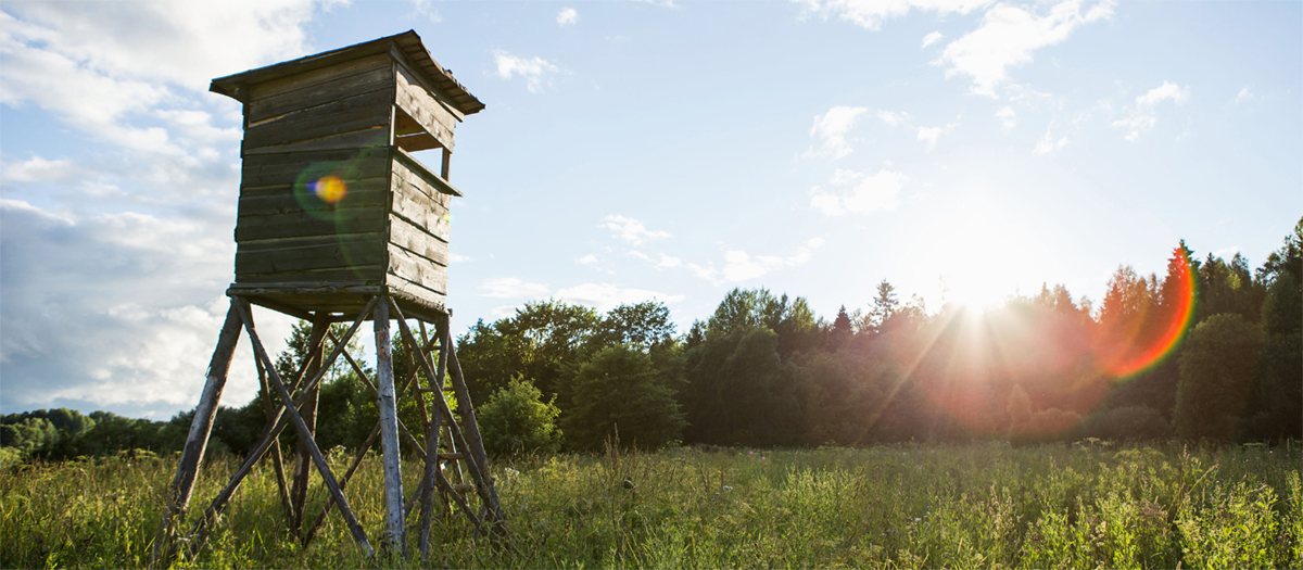 Hunting lodge in a field as the sun is setting. Photo courtesy of Canva