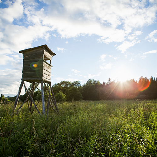 Hunting lodge in a field as the sun is setting. Photo courtesy of Canva