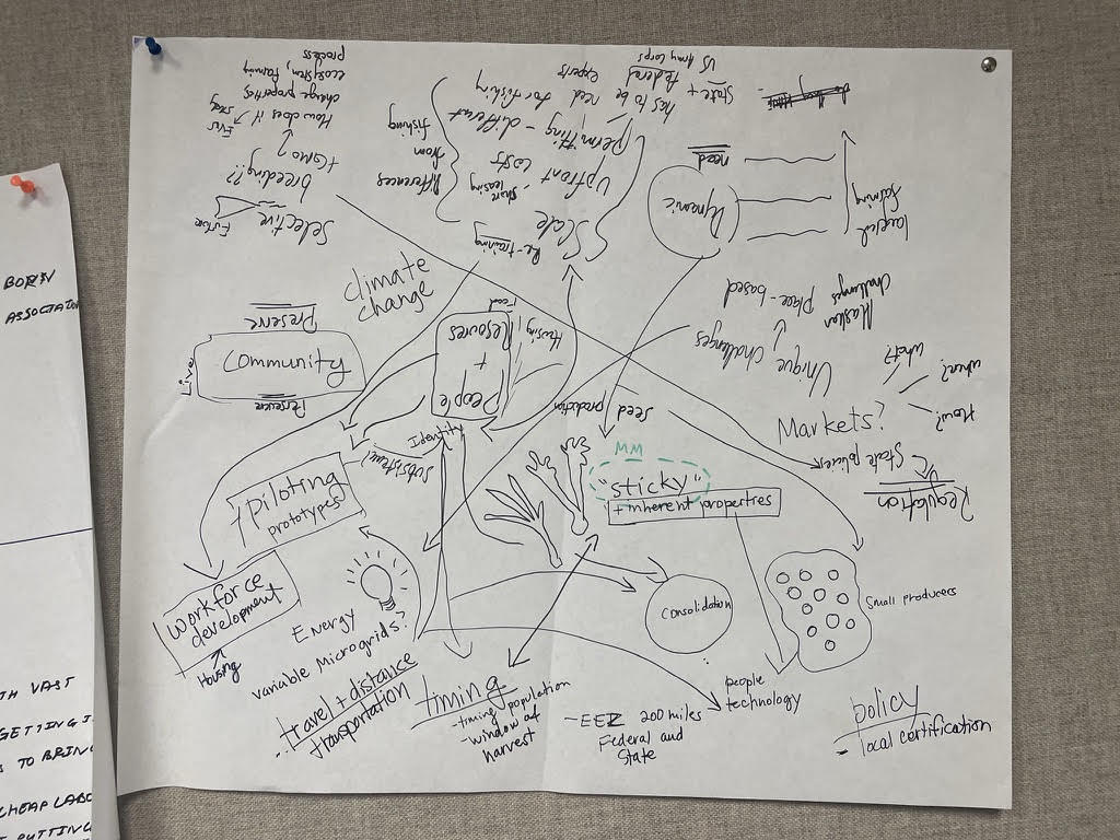 Map of creative ideation brainstormed by the team. Photo courtesy of Madara Mason