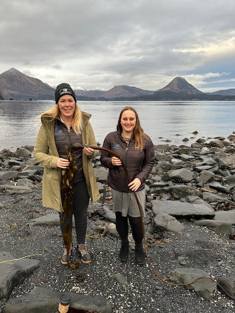 Megan Koch (left) and Ashley Gurnsey (right) with Center ICE holding bull kelp. Photo courtesy of Megan Koch.