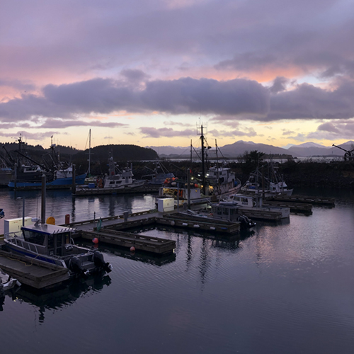 Boats at a dock in Kodiak, AK. Photo courtesy of Tori McDermott.