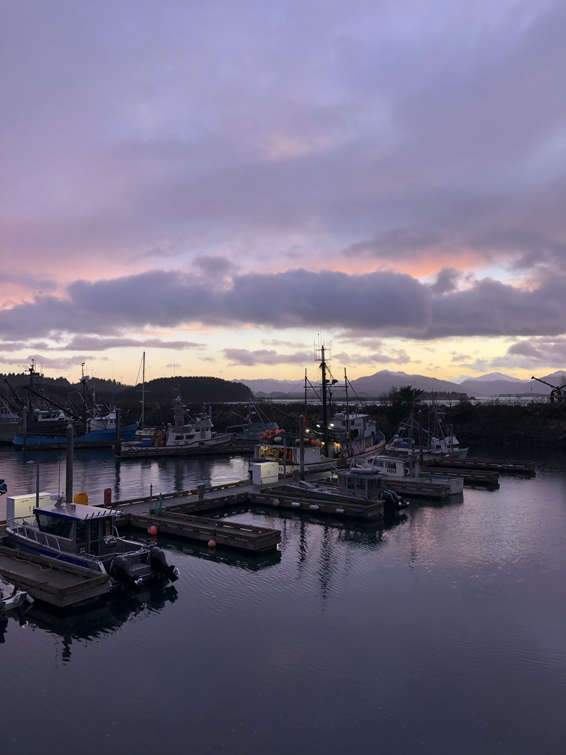 Boats at a dock. Photo courtesy of Tori McDermott.