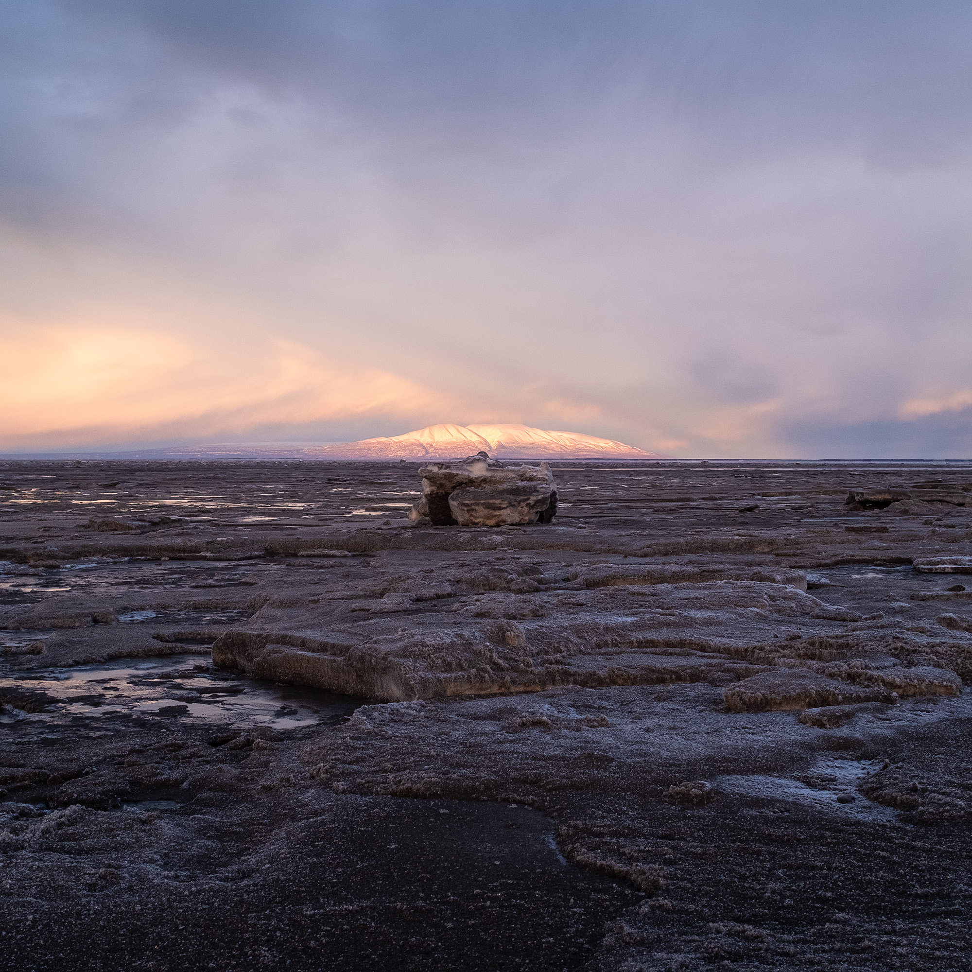 Water at low tide. Photograph by J. Jason Lazarus