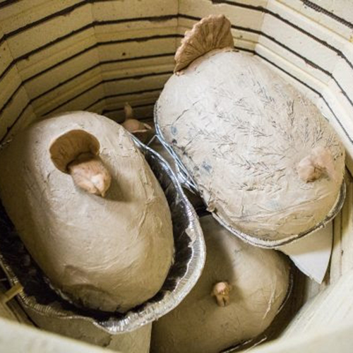 Turkeys wrapped in clay in the kiln, ready for baking. UAF Photo