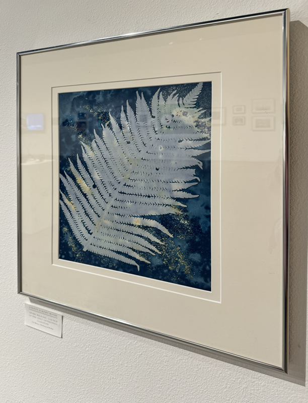 Cyanotype of a fern leaf by Steffi Ickert-Bond. UAF Photo by Jamie Bennett