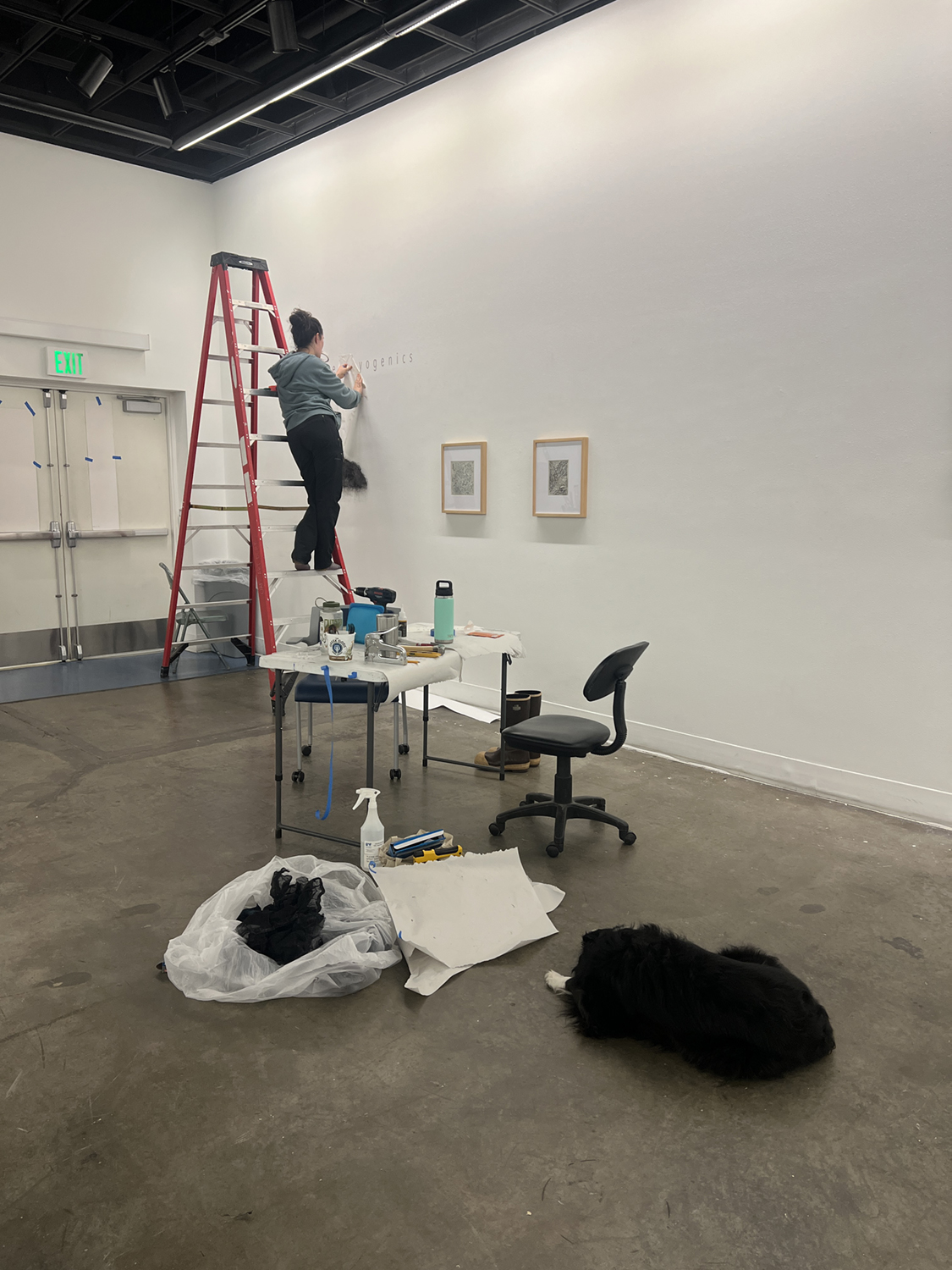 Ayona-Reily Dixon hangs the show title in the UAF Art Gallery. Photos courtesy of Bitzer & Dixon.