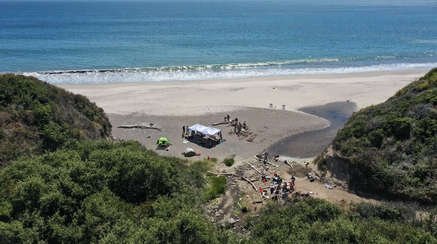 Archaeology field work on the beach. Photo courtesy of Gabriel Sanchez