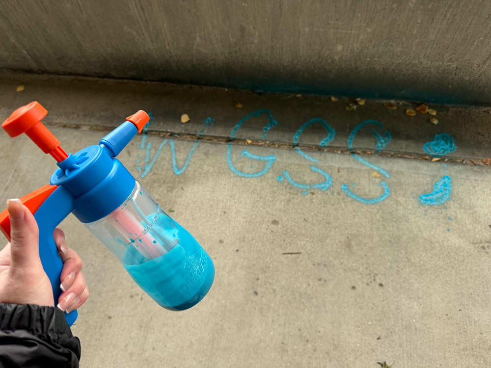 "WGSS" and a semicolon written in washable chalk on a concrete walkway of the UAF campus. UAF Photo by Jamie Haman