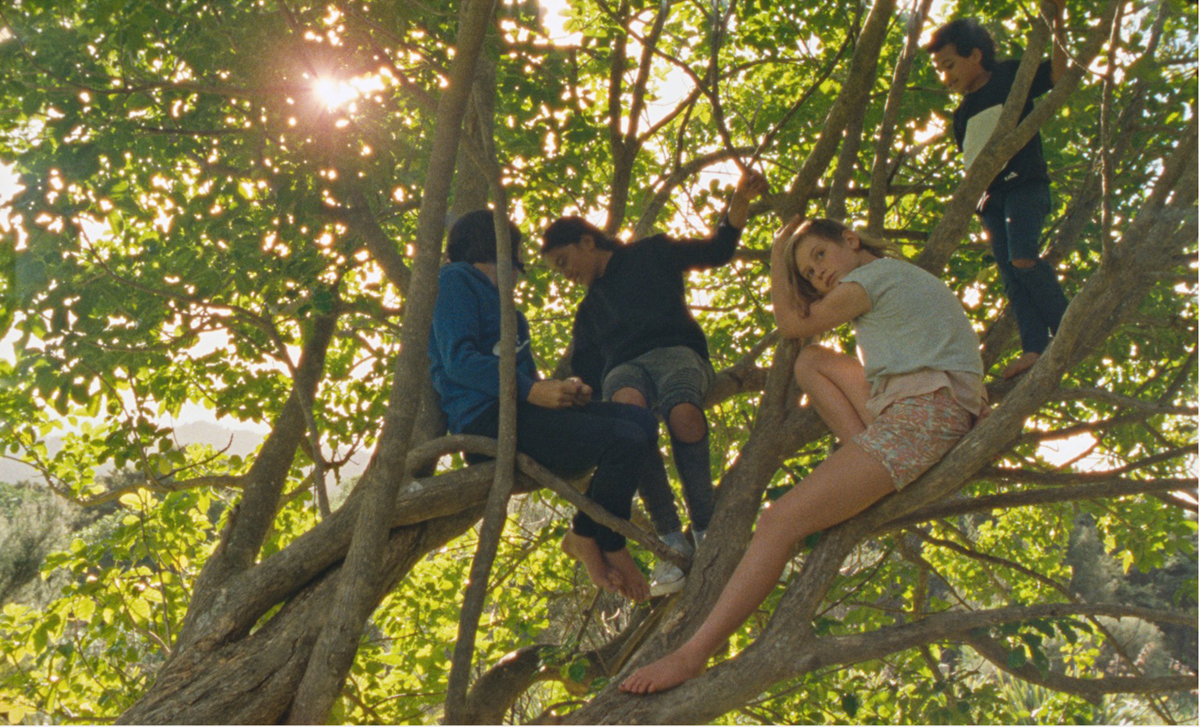 Children sitting in a tree. image courtesy of the Sundance Institute