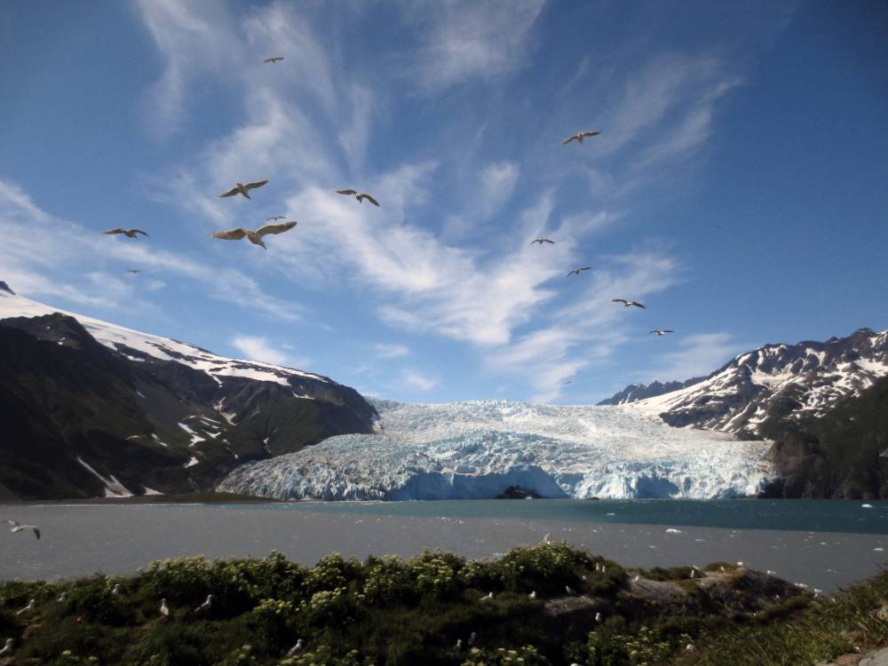 Glacier with birds flying overhead