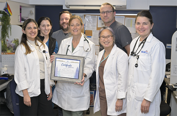 Dr. Krstin Terrio and her team at VCA Alexandria Hospital
