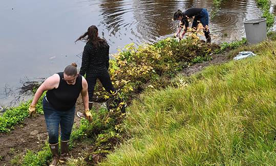 people planting alongside a river