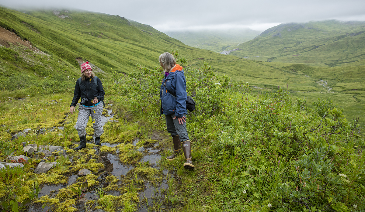 Museum to create online database of Alaska flora