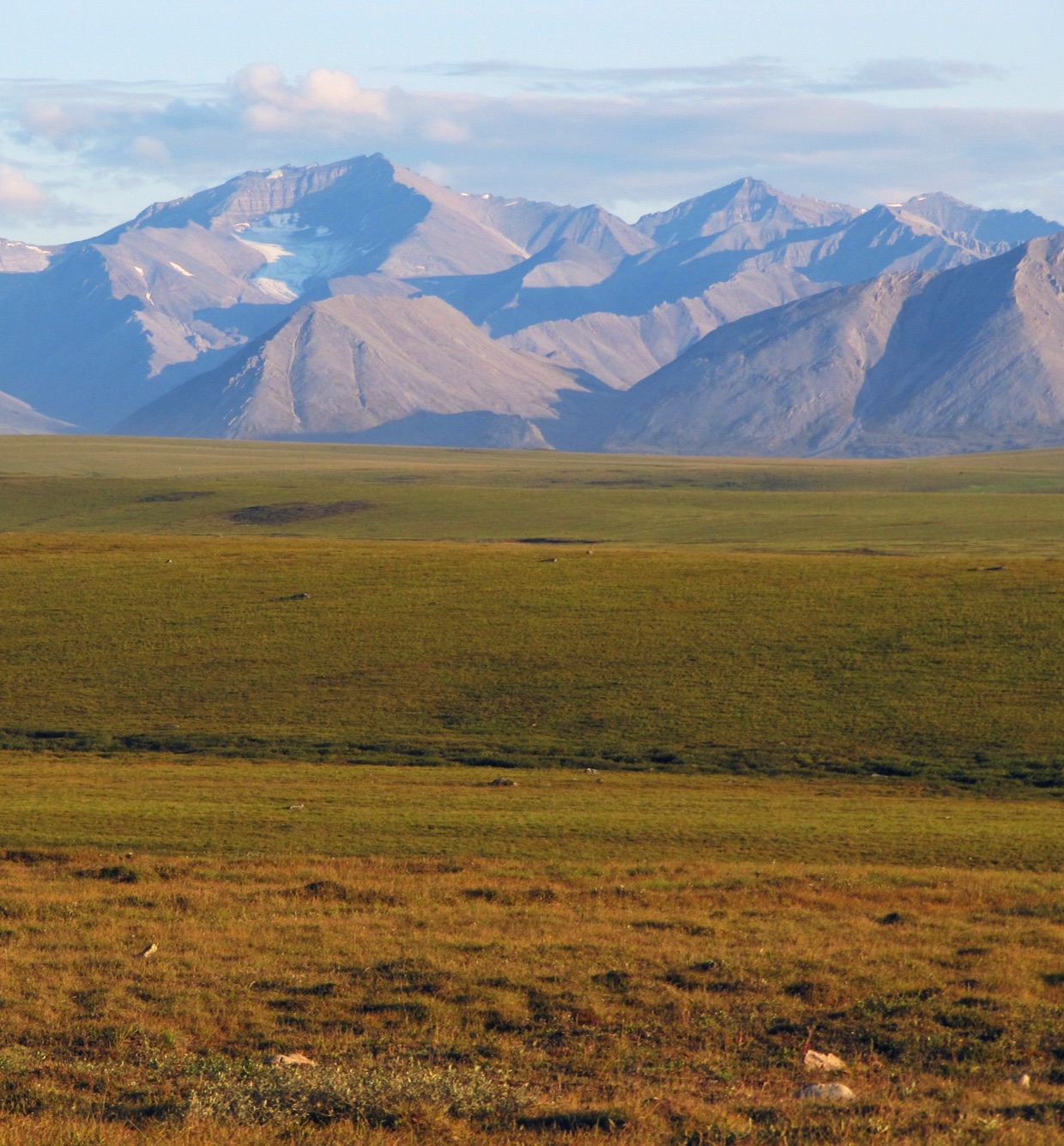 Study links climate policy, carbon emissions from permafrost
