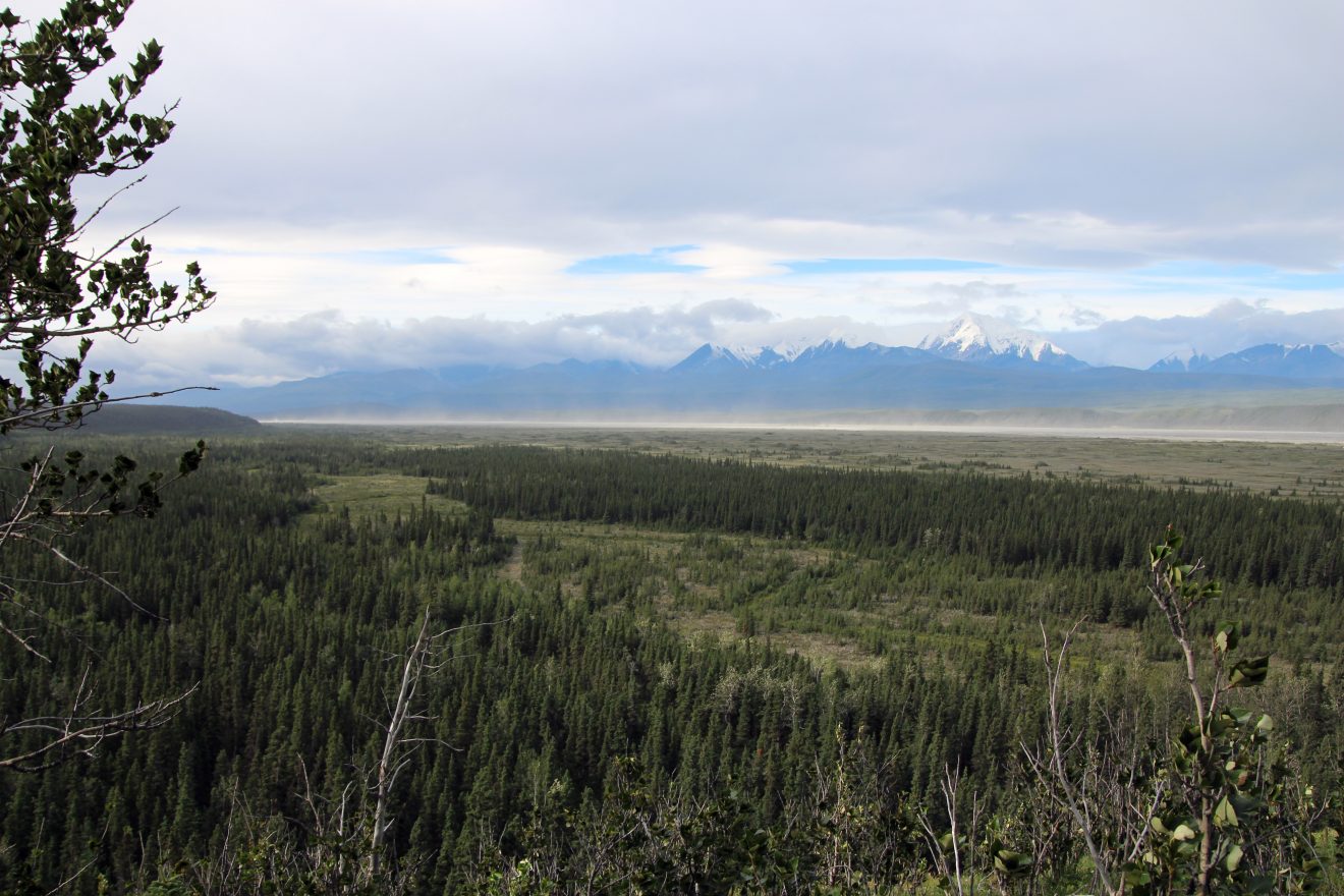 Ben Potter photoAn overview of the Delta River valley in Interior Alaska, which was an early Paleoindian site in Beringia. A new study in the journal Science Advances argues that there are several possible scenarios for how ancient humans first migrated through the Americas, including an inland route through Alaska.