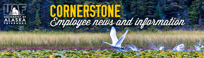 cstone-employee-crane