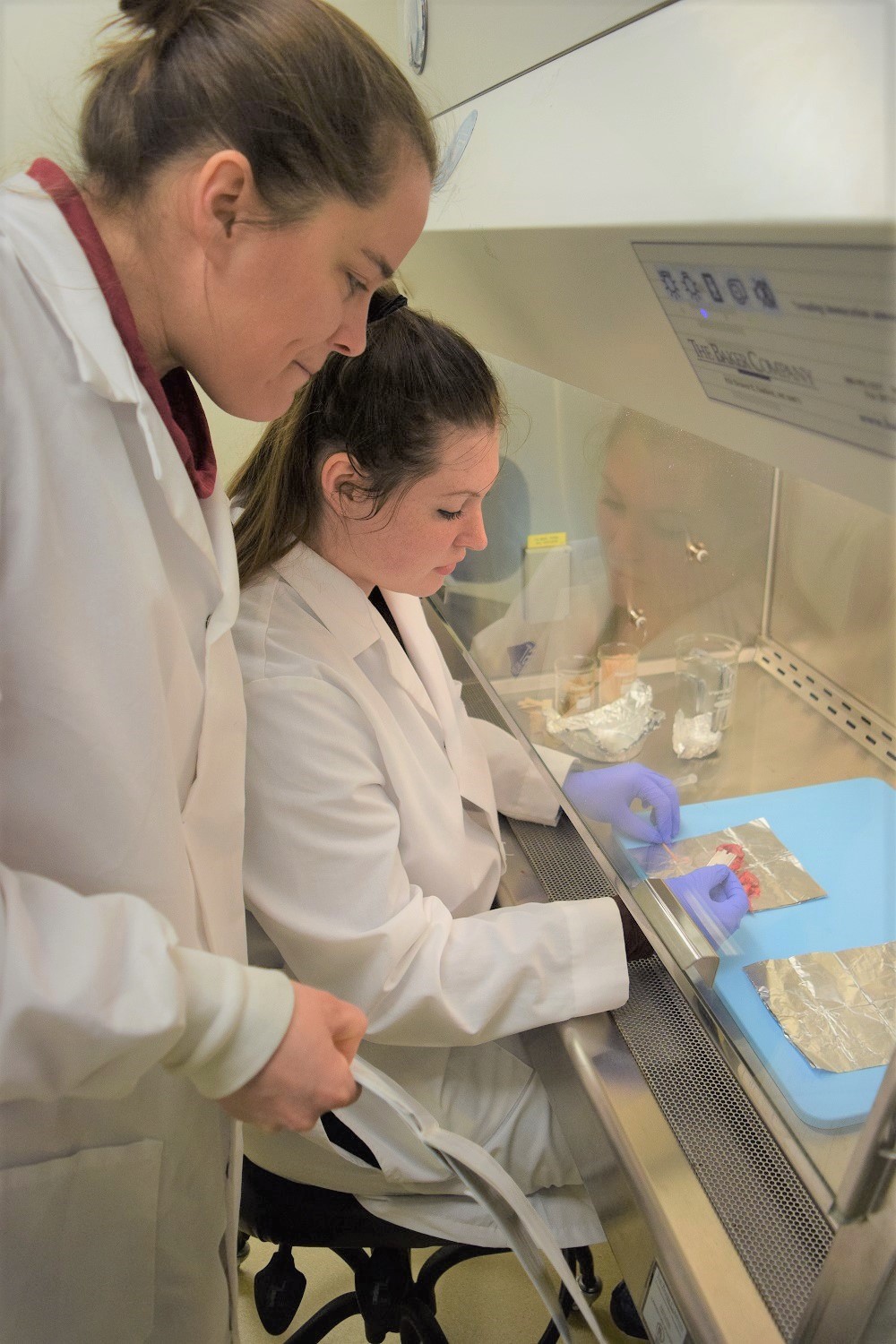 Melissa Clark works in the lab with mentor Cristina Hansen.
