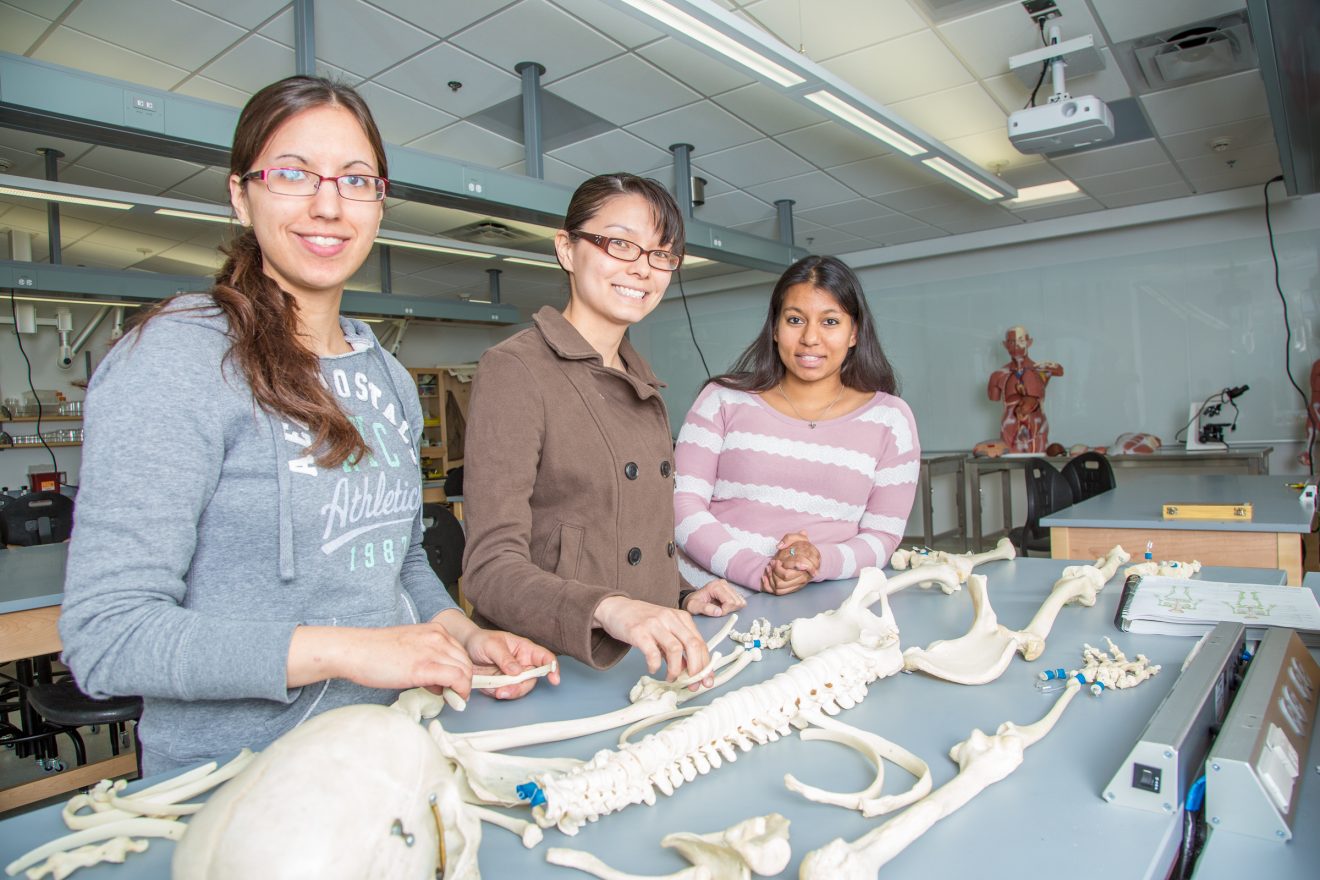 Students examining a skeleton in an anatomy and physiology lab.