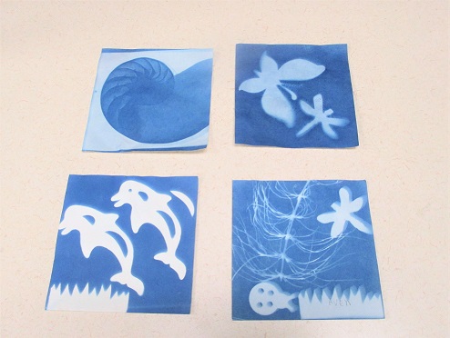 Four cyanotypes depicting a shell, dolphins, butterflies and a tree with insects.
