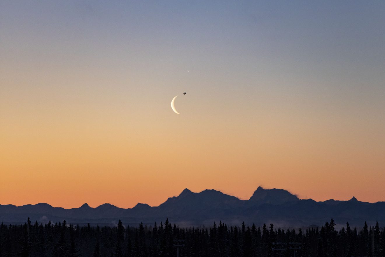 Happy Blue and Gold Day, Nanook nation! Here is an image of Venus and the crescent moon as seen from the Fairbanks campus Wednesday morning.