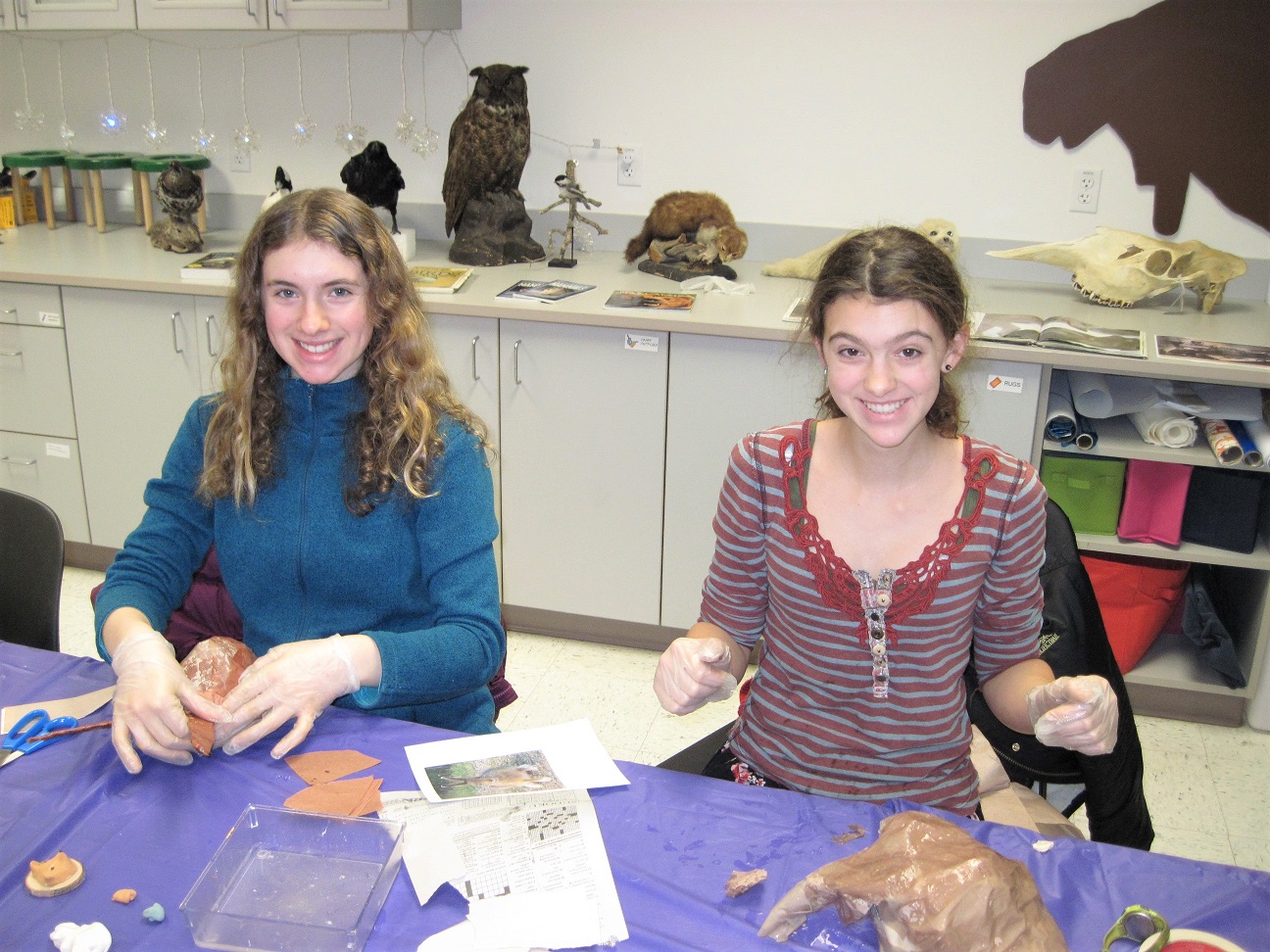 Teens work on creating animal replicas during the ARTSci Teen Studio program.