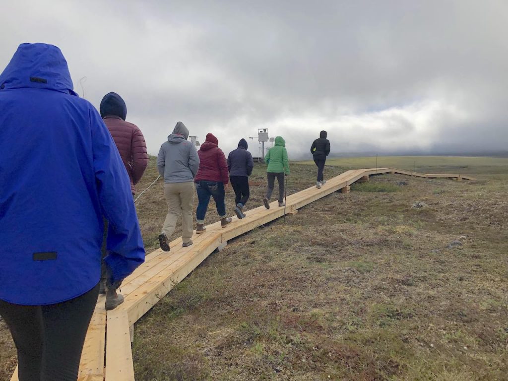 Seven students dressed in hoodies and long pants walk along a boardwalk across the tundra under gray skies.