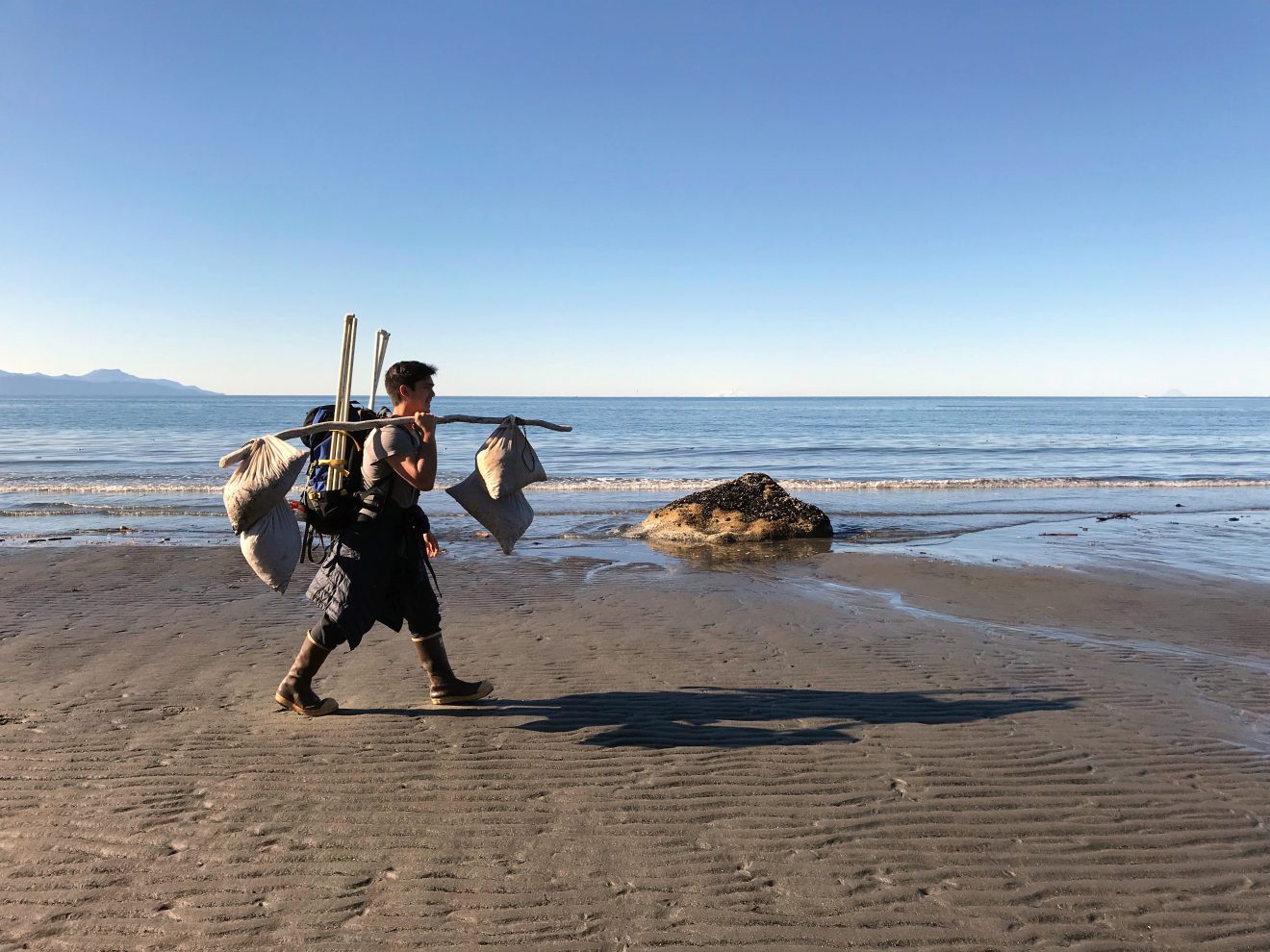 Photo courtesy of Brian Ulaski. Brian Ulaski carries seaweed samples back to the Kasitsna Bay Laboratory in Kachemak Bay.