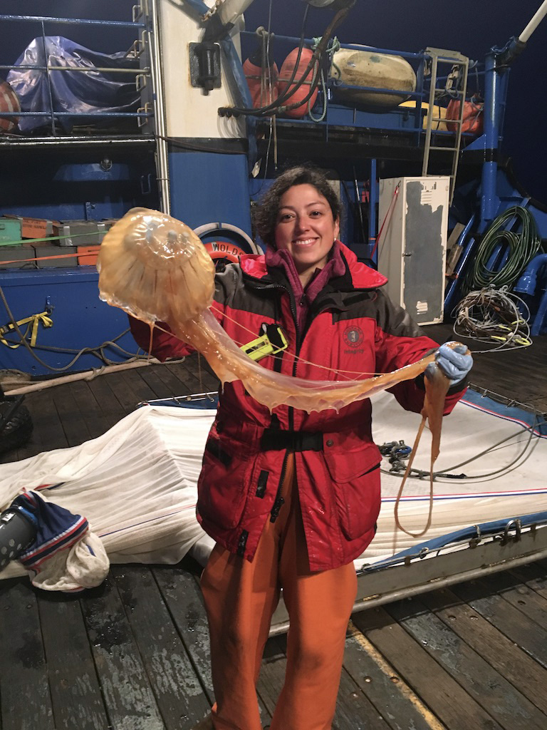 Loring Schaible photoHeidi Mendoza-Islas holds up a sea nettle caught during a research trip in the Gulf of Alaska.