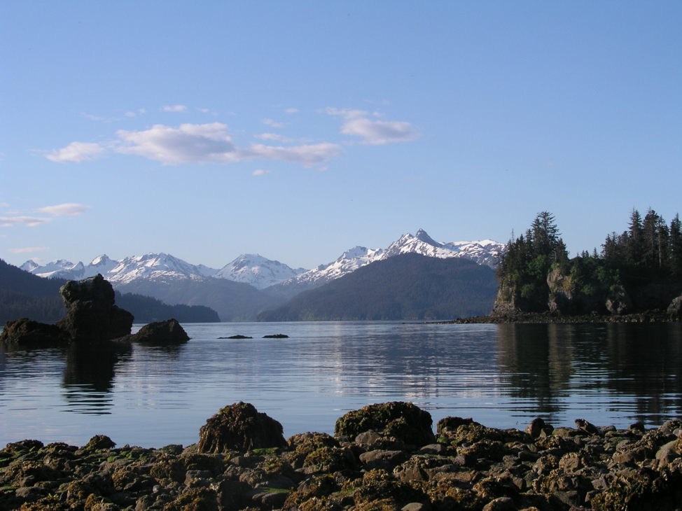 UAF researchers will review Kachemak Bay projects