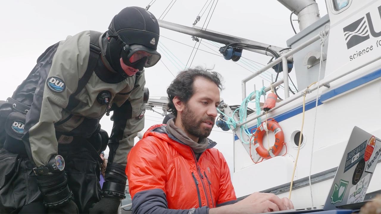 New video focuses on Alaska's acidifying oceans
