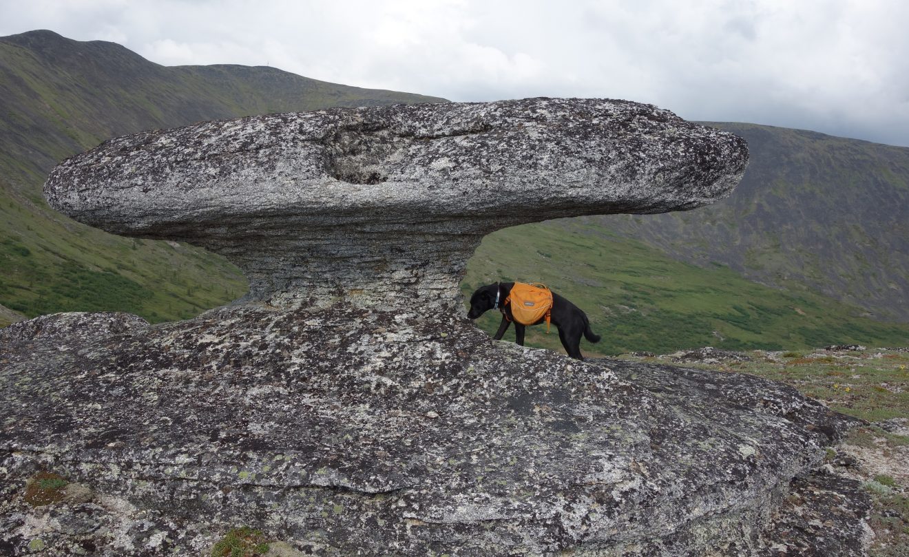Granite tors evidence of ice-free Alaska