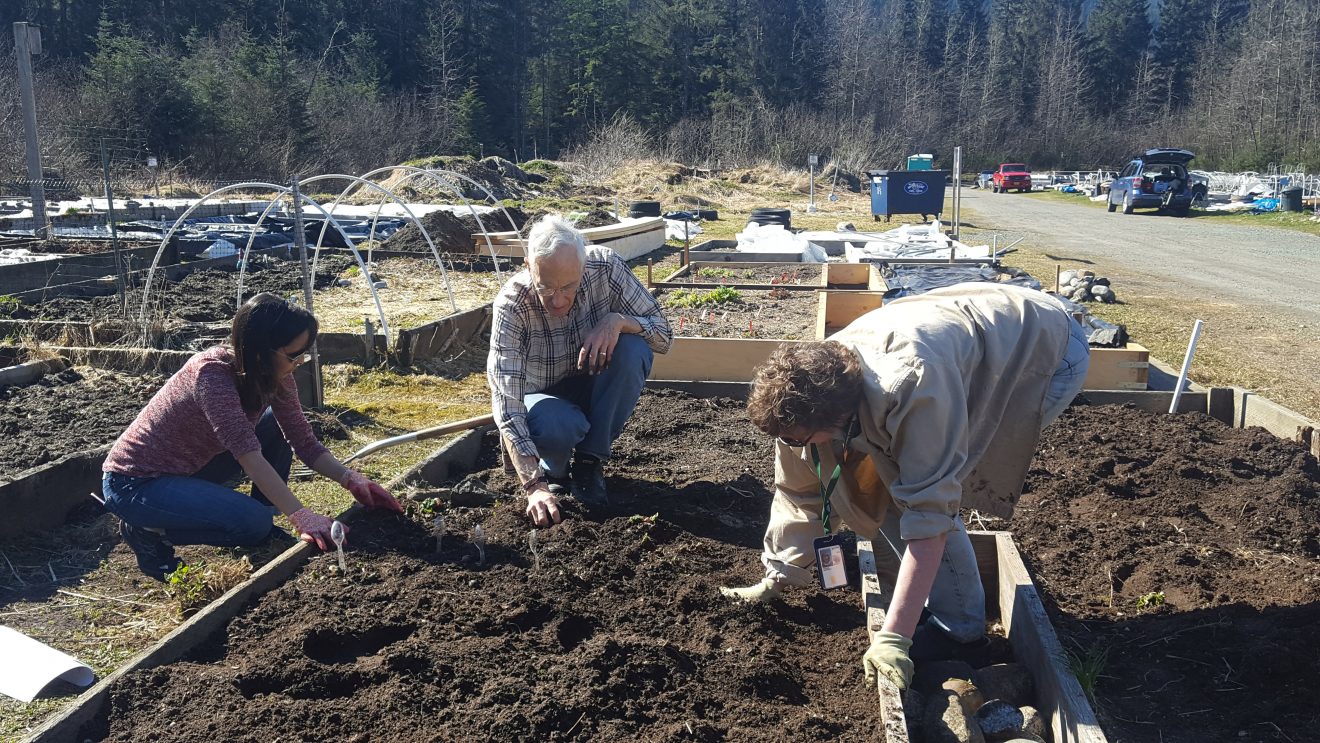 Juneau master gardener training begins March 2