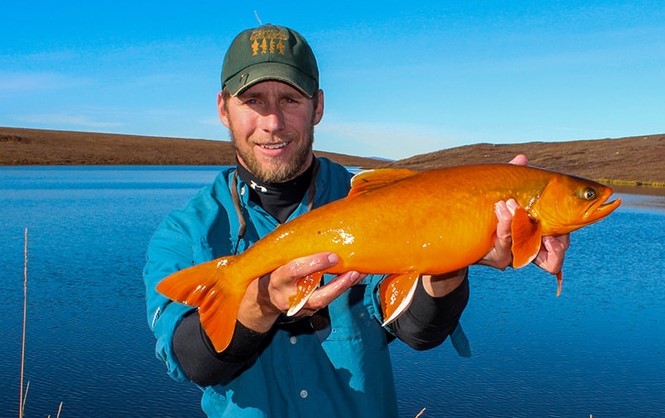 Man holding a large orange fish beside a lake on the tundra.