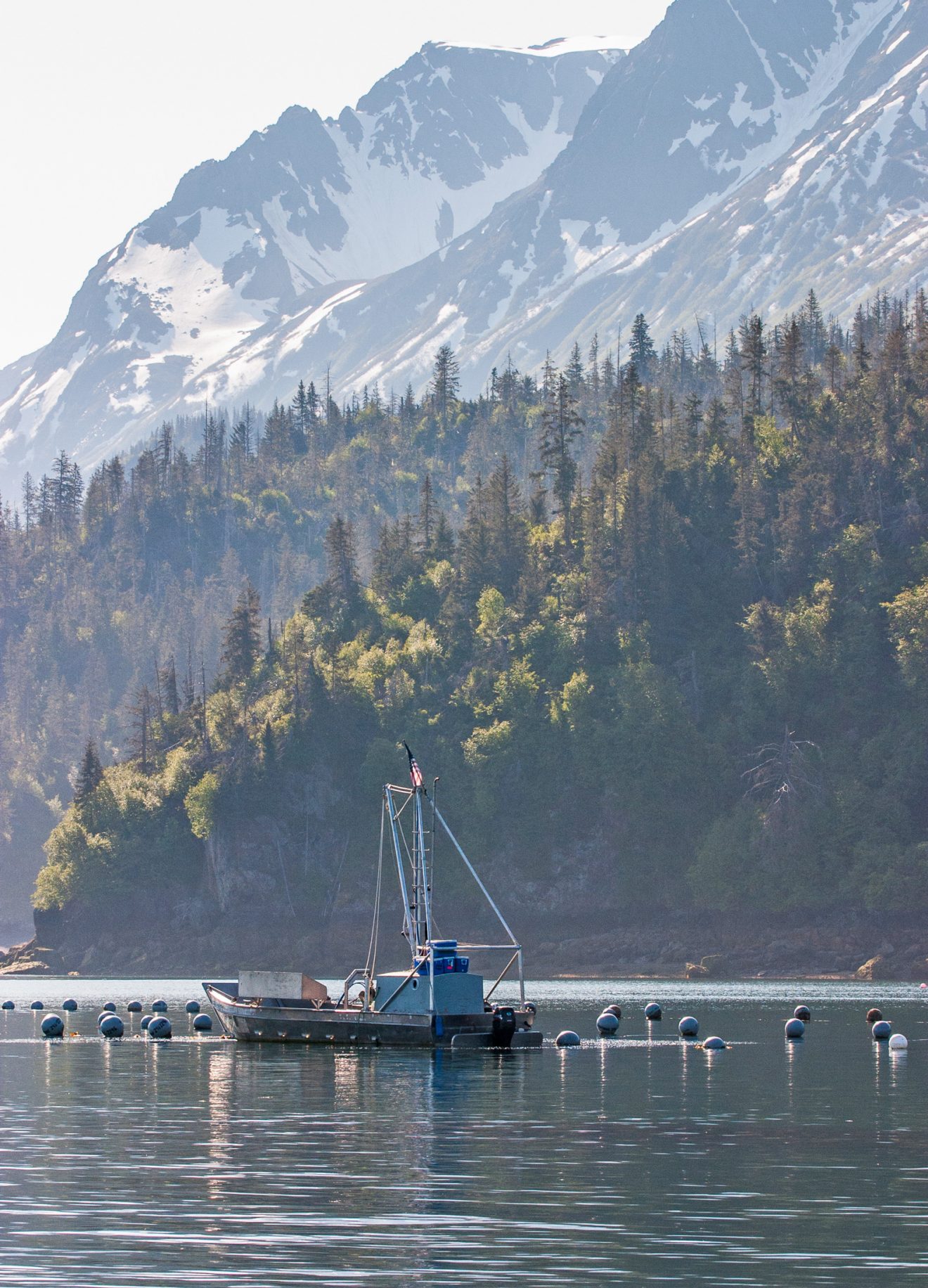 COVID-19 harms Alaska mariculture industry