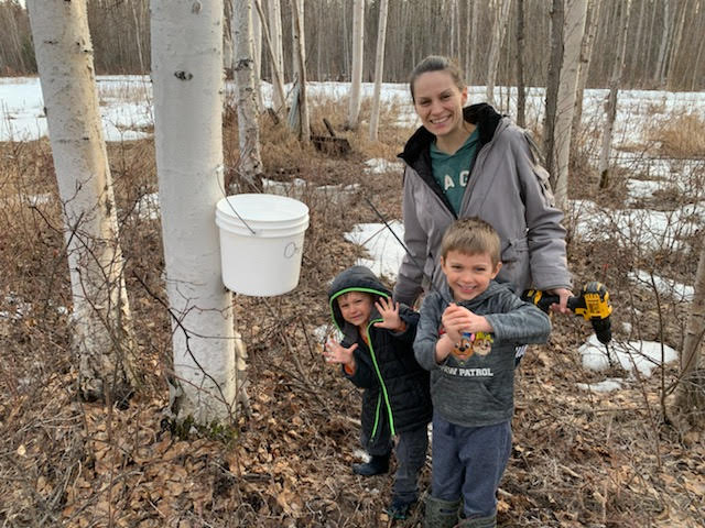 A woman and two small children stand in a small birch grove in late winter. A bucket is attached to a birch tree to collect sap.