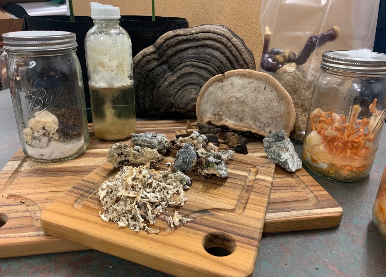 Cutting boards covered with chopped and whole mushrooms