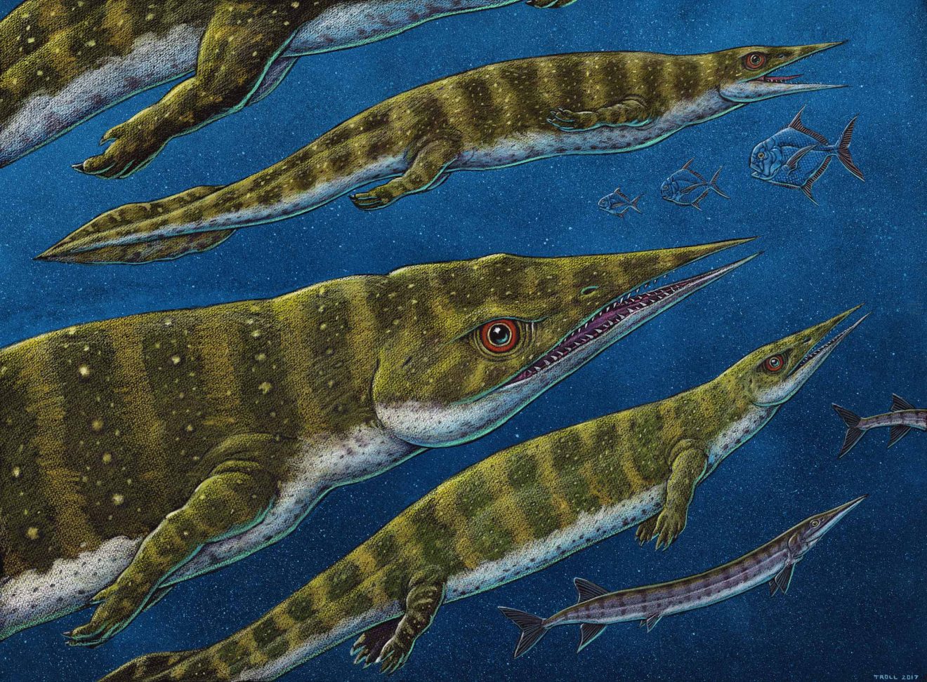 New thalattosaur species discovered in Southeast Alaska